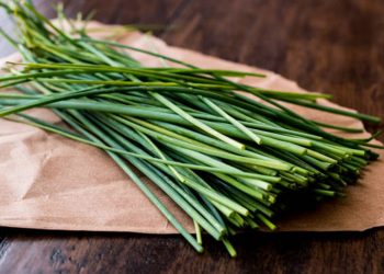Chives
