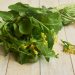 Mustard greens