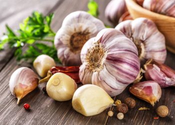 Garlic