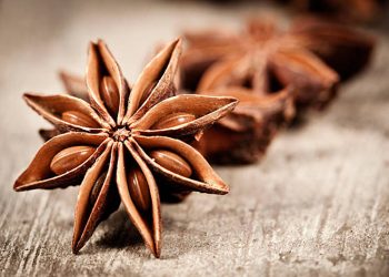 Anise
