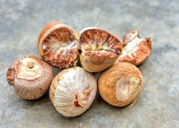 Betel nut