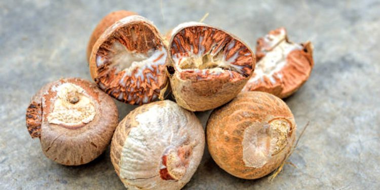 Betel nut