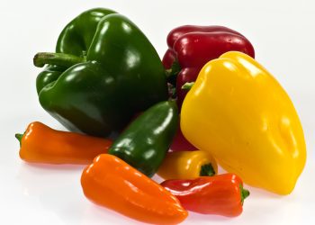 Capsicum