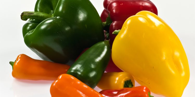 Capsicum