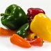 Capsicum