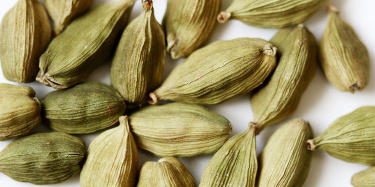 Cardamom