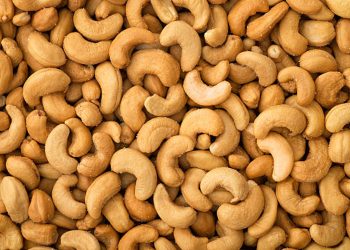 Cashew nut
