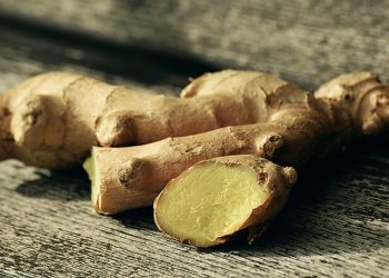 Ginger