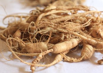 Ginseng