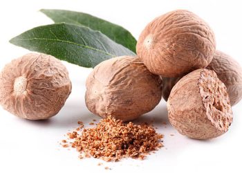 Nutmeg (Mace)