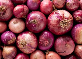 Onion