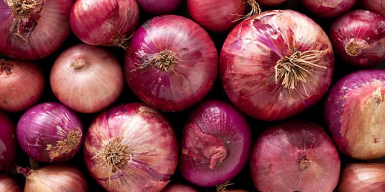 Onion