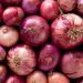 Onion