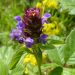 Selfheal